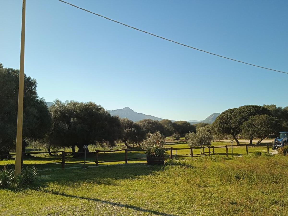 Vistamare Villa Orosei Buitenkant foto