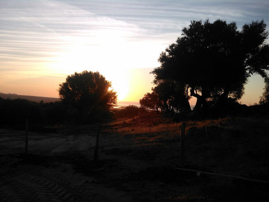 Vistamare Villa Orosei Buitenkant foto